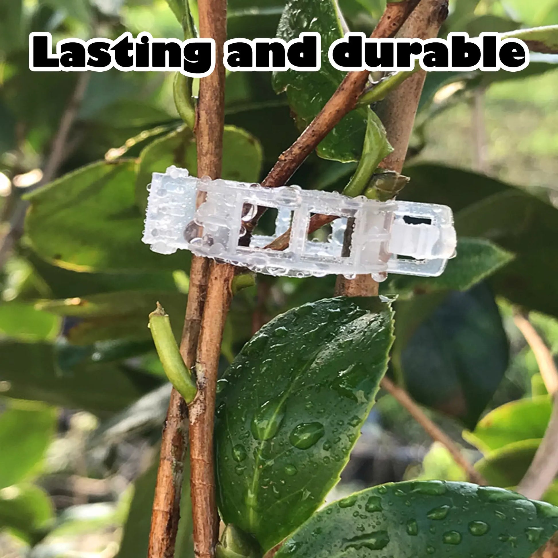 100 Count Plant Support Clips for Upright Growth of Tomato and Grape Vines - White Plastic Trellis Clips for Vegetables